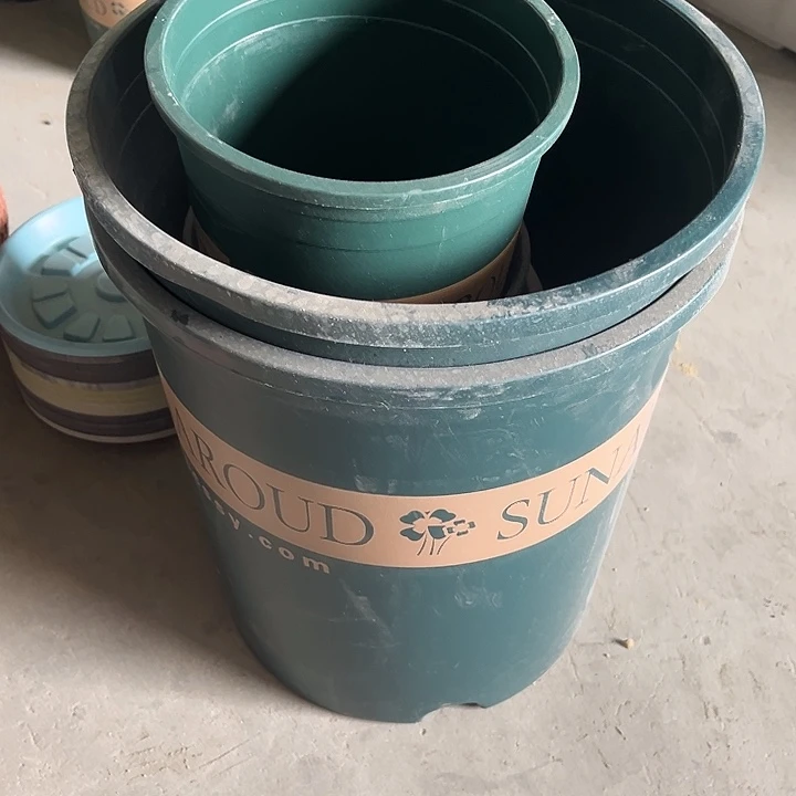 塑料萌*瑕疵高5的2个加小的