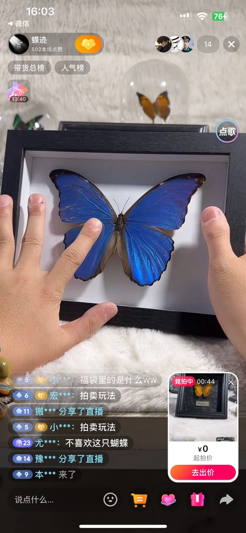 大蓝闪蝶6寸相框微瑕