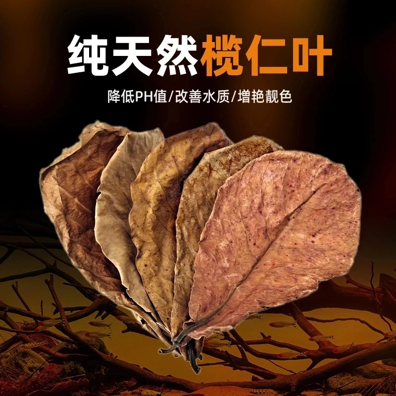 榄仁叶泰斗降酸降低PH值鱼缸造景装饰南美缸黄水缸懒人叶斗鱼