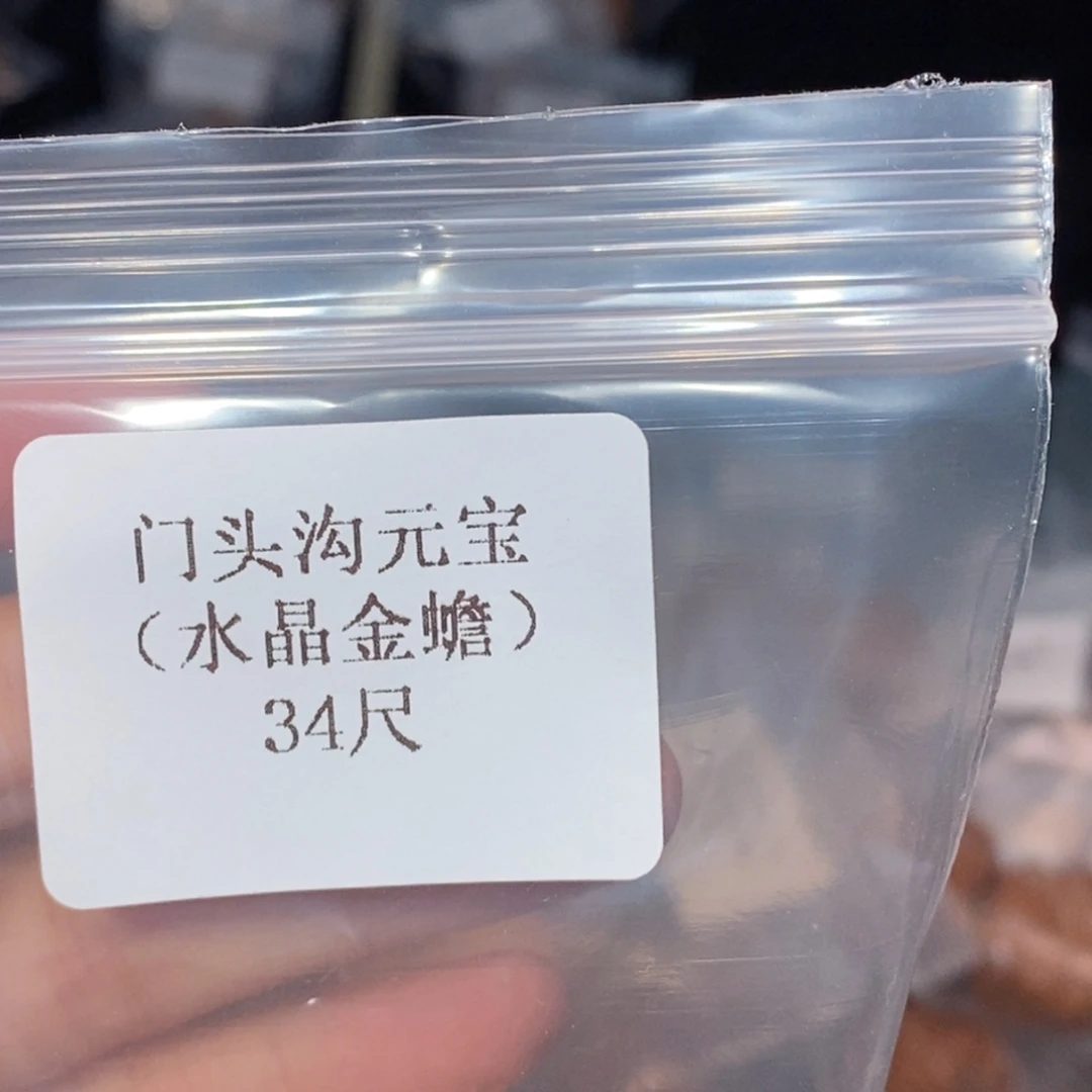 文玩核桃吊坠34门头沟元宝20
