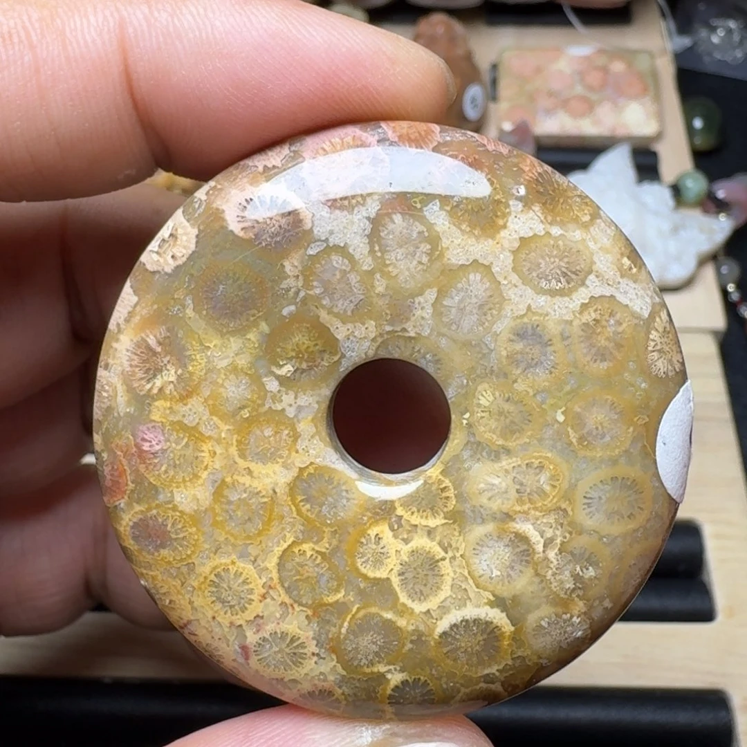未镶嵌纯天然色有机玉石保真色硅化玉