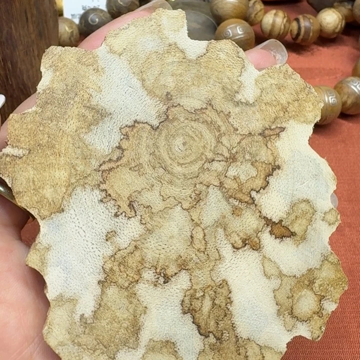大叶紫檀（黑酸枝木类）