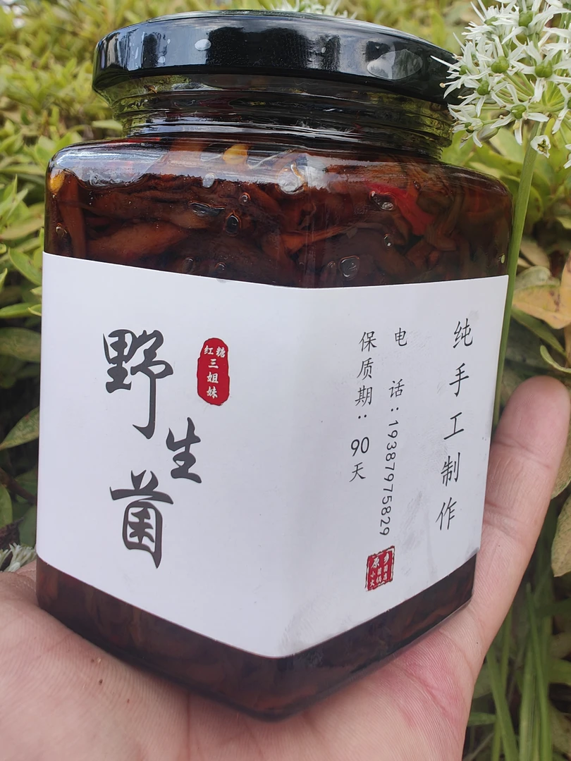 云南土堆鸡枞菌油