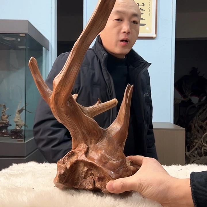 柏木m****w我们的生活也是如此的