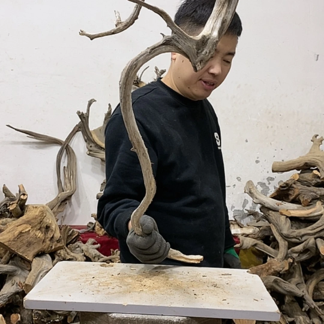 【闪购商品】柏木云*我们都是好孩子