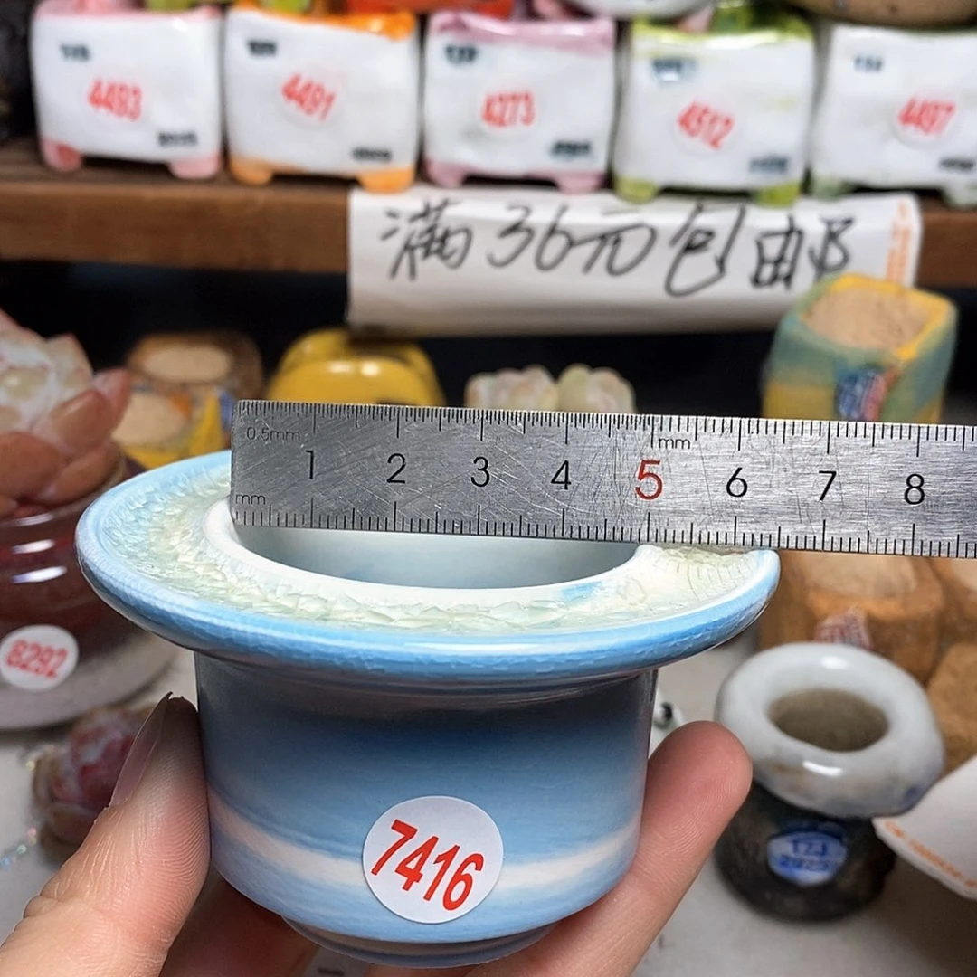 红陶拍5送一个小