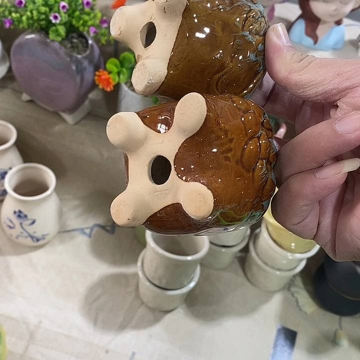 花盆抢购清货马上开始