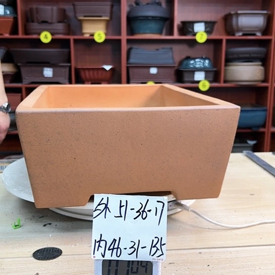 红陶滁****场紫砂花盆里放上