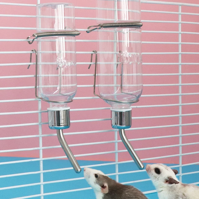 松鼠豚鼠大眼飞鼠糖滑翔机仓鼠饮水用品饮水喷泉玻璃水壶栗鼠球