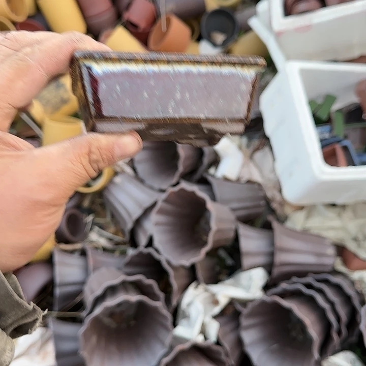 一次也不能多打个两万个嘛笑拉草我