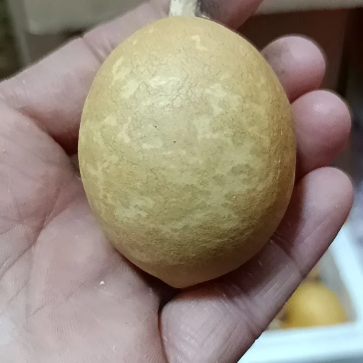 爱*惠葫芦葫芦葫芦葫芦葫芦葫芦葫芦