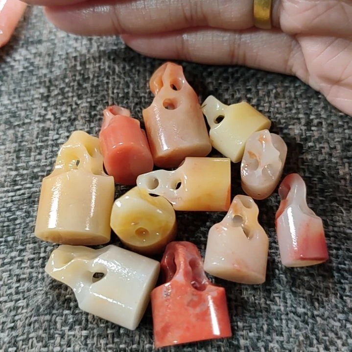 老挝石菘****根583866868688