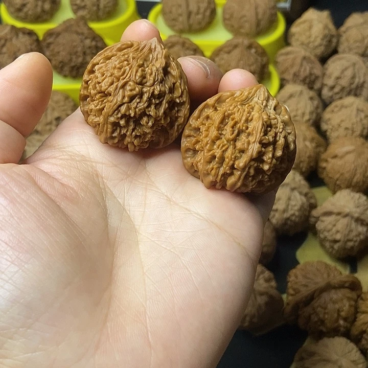 文玩核桃   满天星