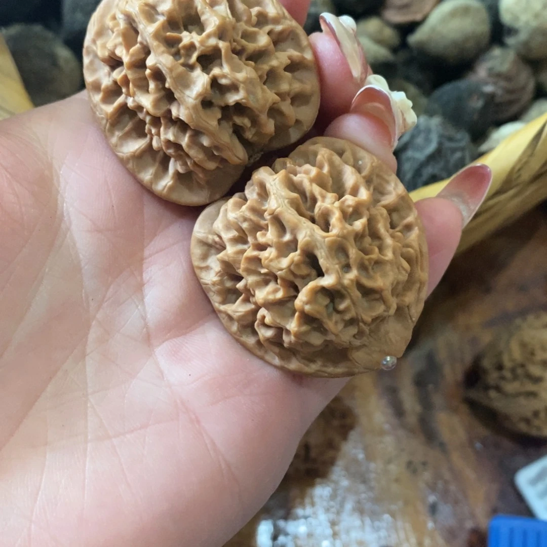 砂**匙秦岭野生核桃秦闷