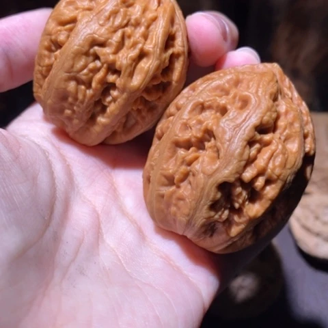 把件文玩核桃东北野生楸子小园 188