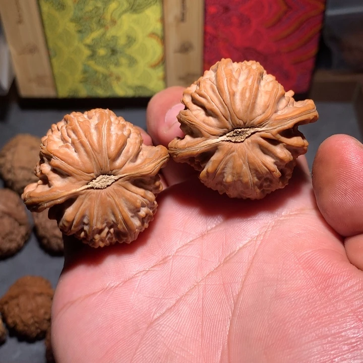 白狮子43全品麻核桃
