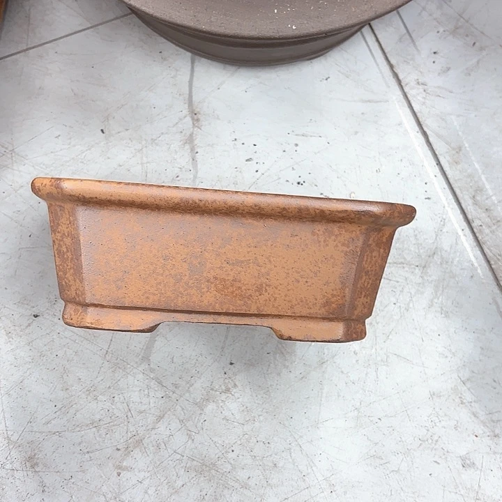 紫砂花盆紫砂的花开了