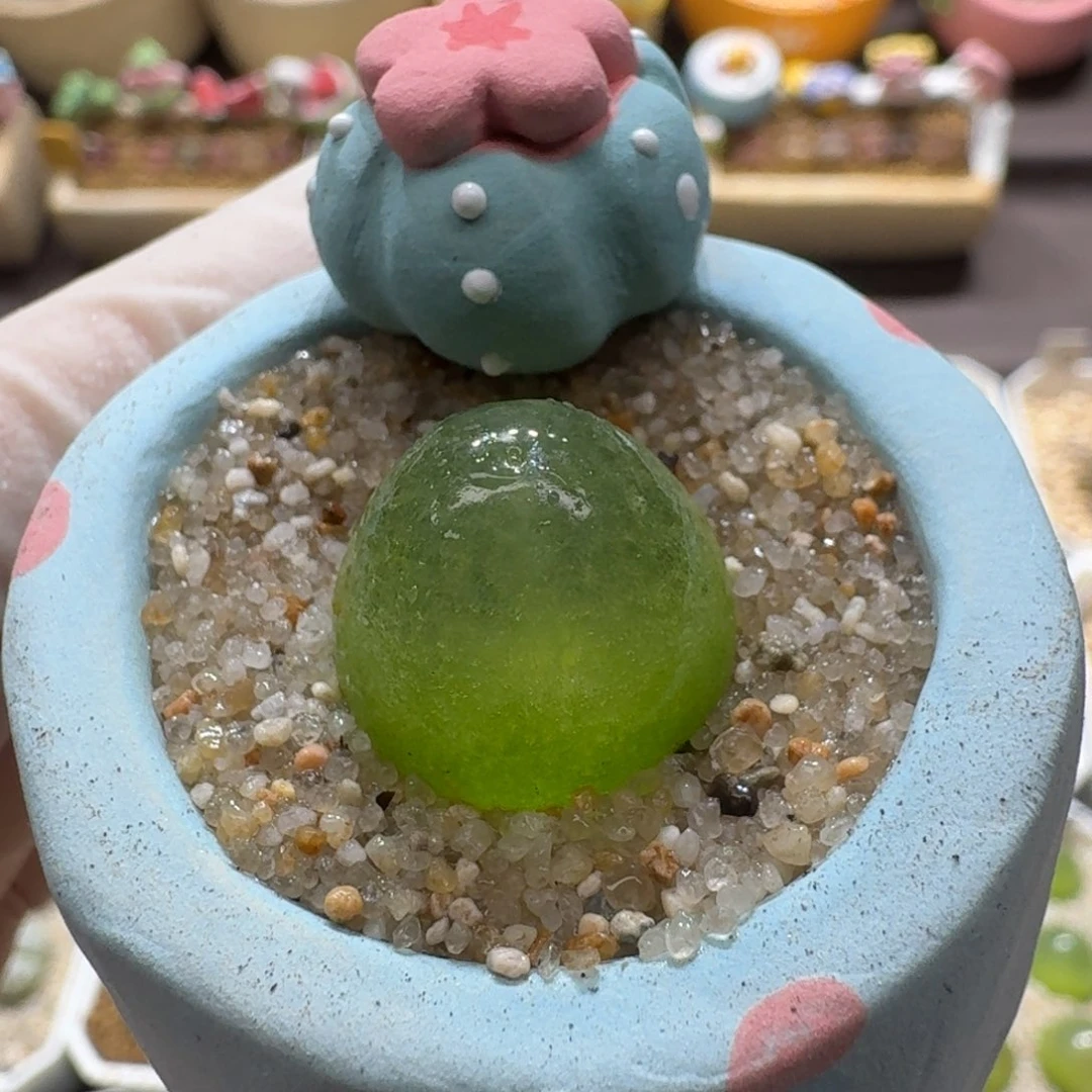 0923-001连盆带花灯泡