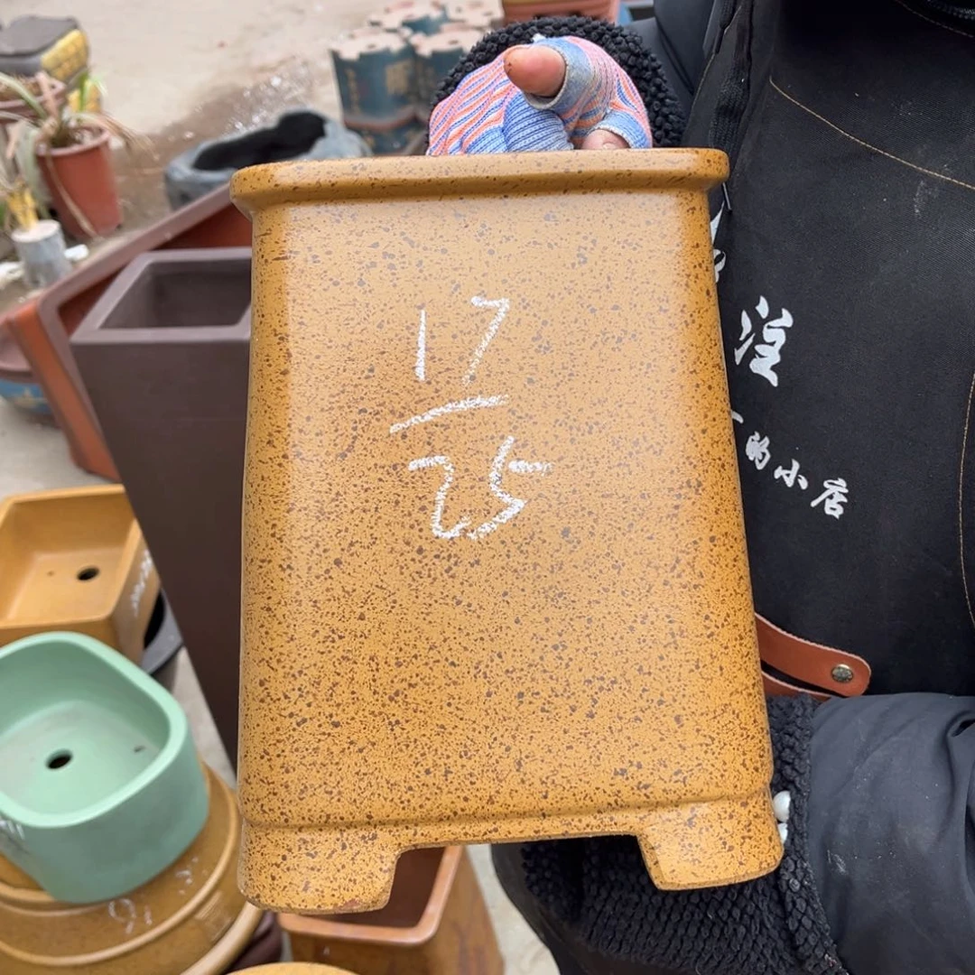 紫砂花盆盆景艺术