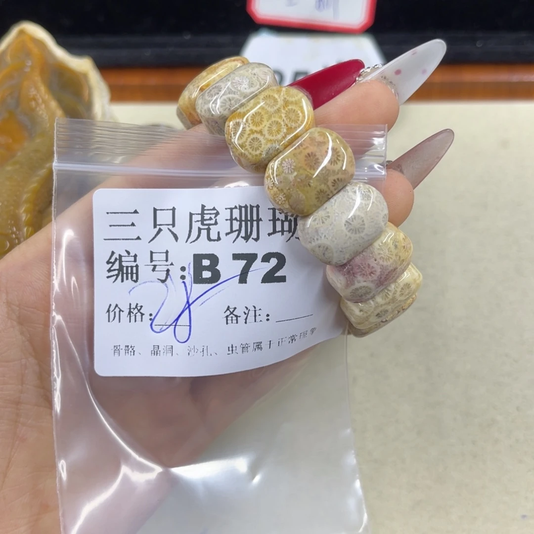 藥***藥硅化珊瑚（珊瑚玉）h未镶嵌