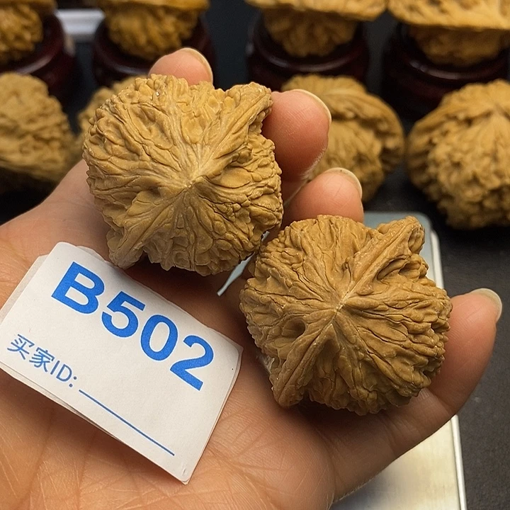 核桃泥鳅背4.3，微黄
