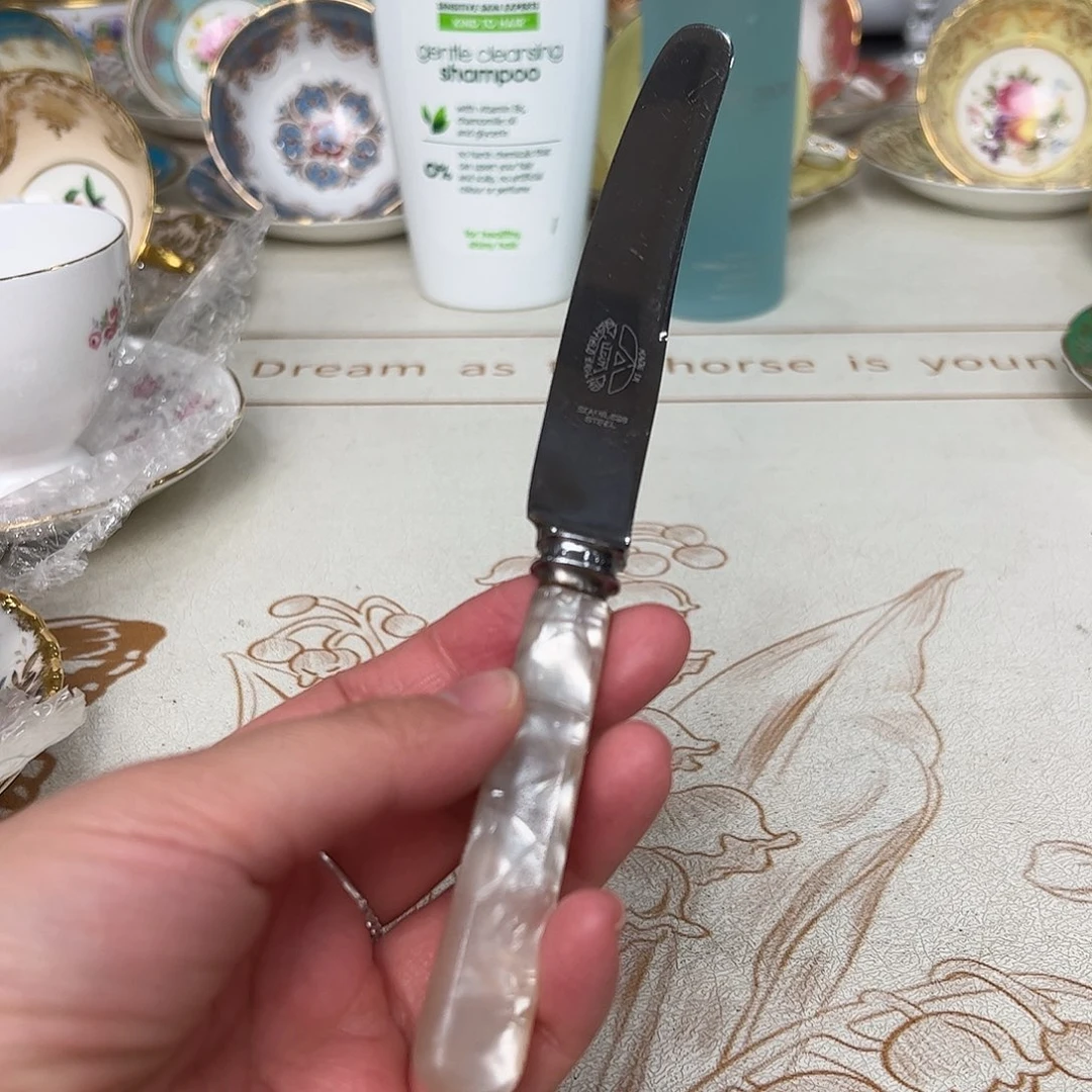 盘维多利亚欧洲中古