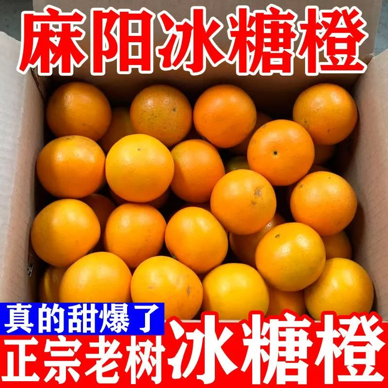 麻阳冰糖橙橙子当季现摘黄皮橙新鲜橙子