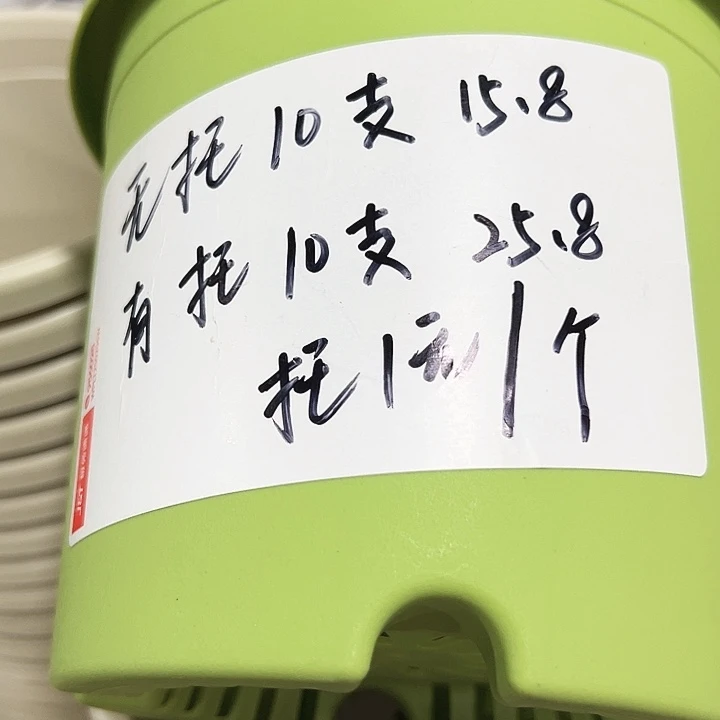 特价2号口17高14果绿10只无托