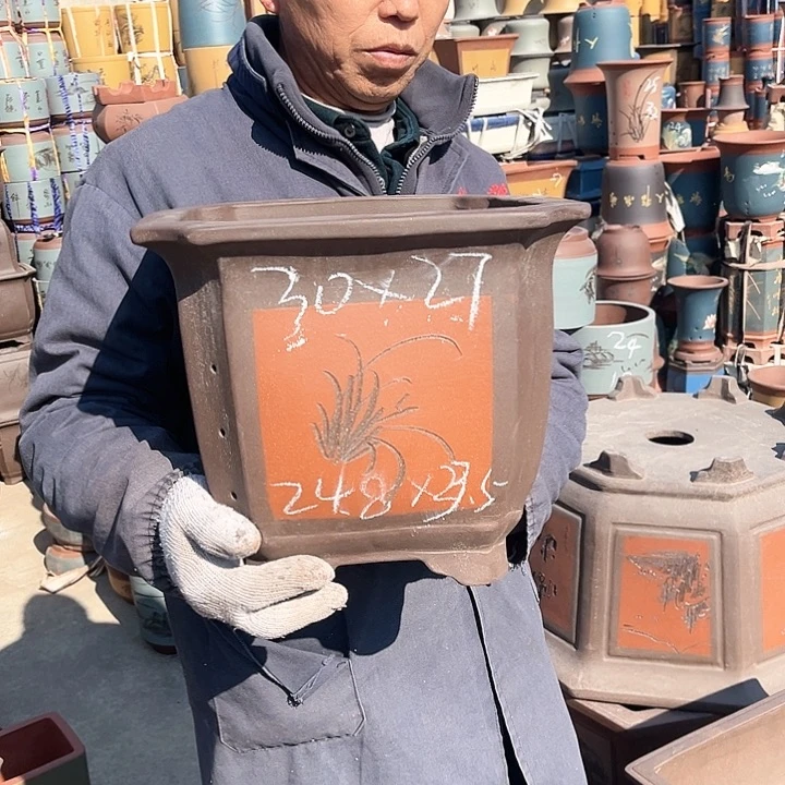 紫砂紫砂花盆和花盆里藏