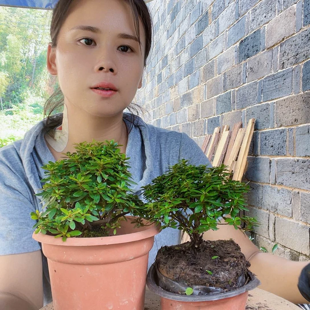 无花朵旭**卉你是不偷偷看你家面