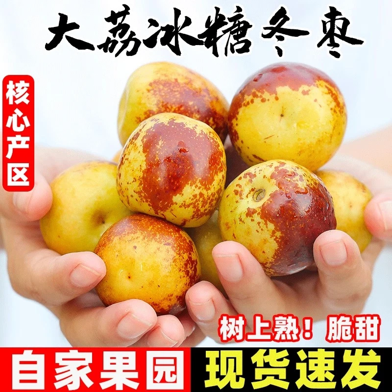 【陕西大荔头茬冬枣】脆甜多汁新鲜发货产地直发新鲜直达包邮到家