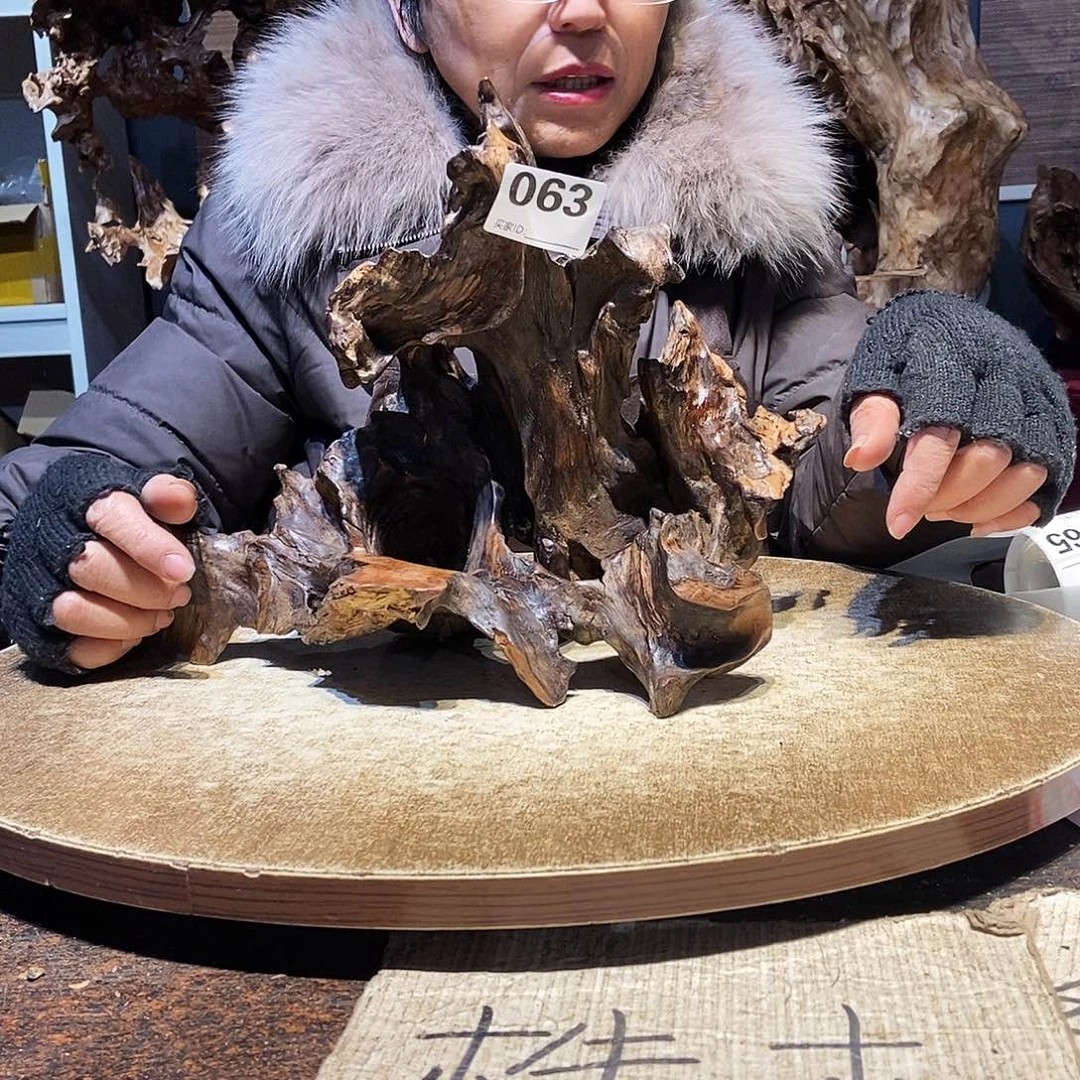 越***者063。株木随行根艺