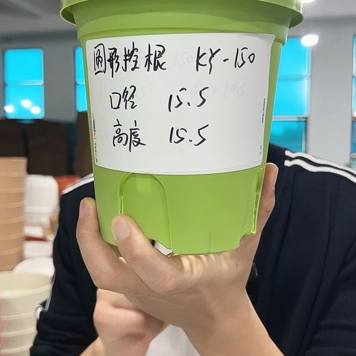 正品圆控口15高15白色10只无托