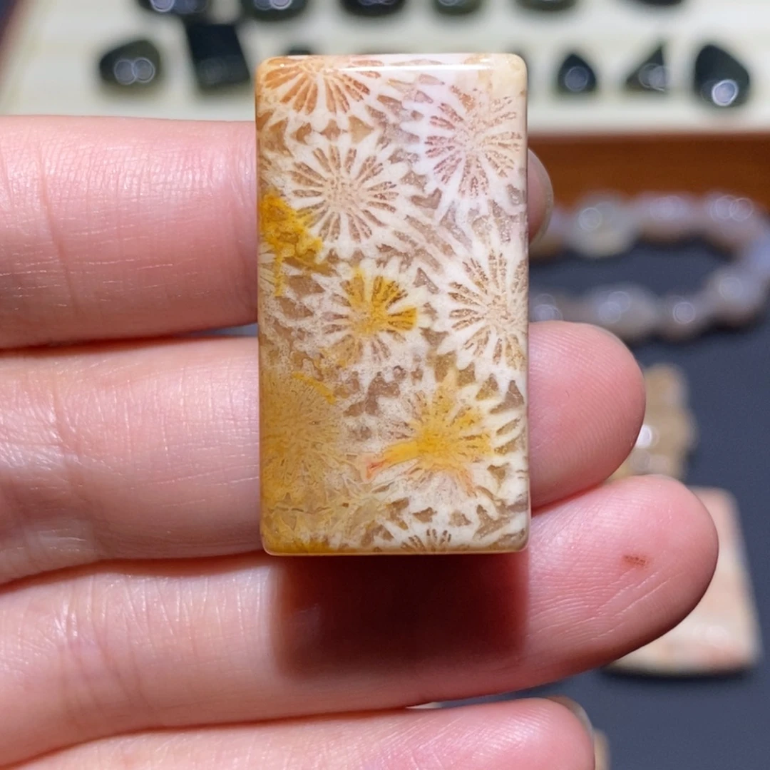 【闪购商品】未镶嵌珊瑚玉硅化玉