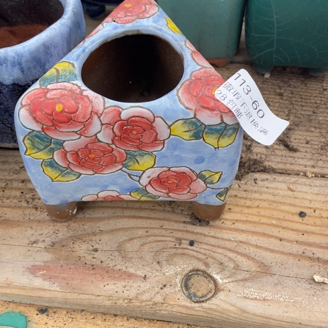 60号多肉盆口径4小可爱