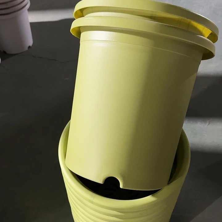 瑕疵7#口径33果绿6个无托