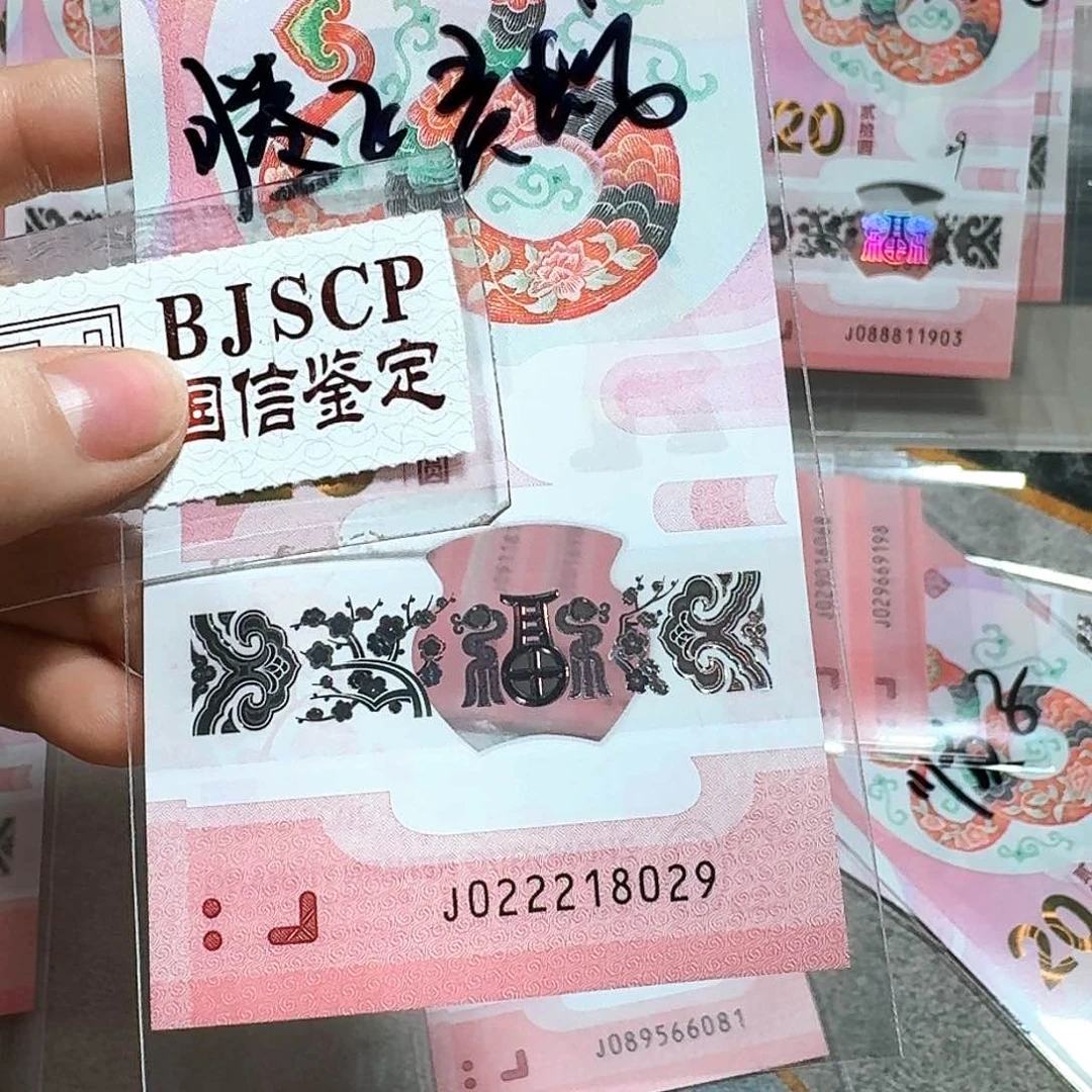 塑料022218029。。。。。朦胧 腾飞灵蛇