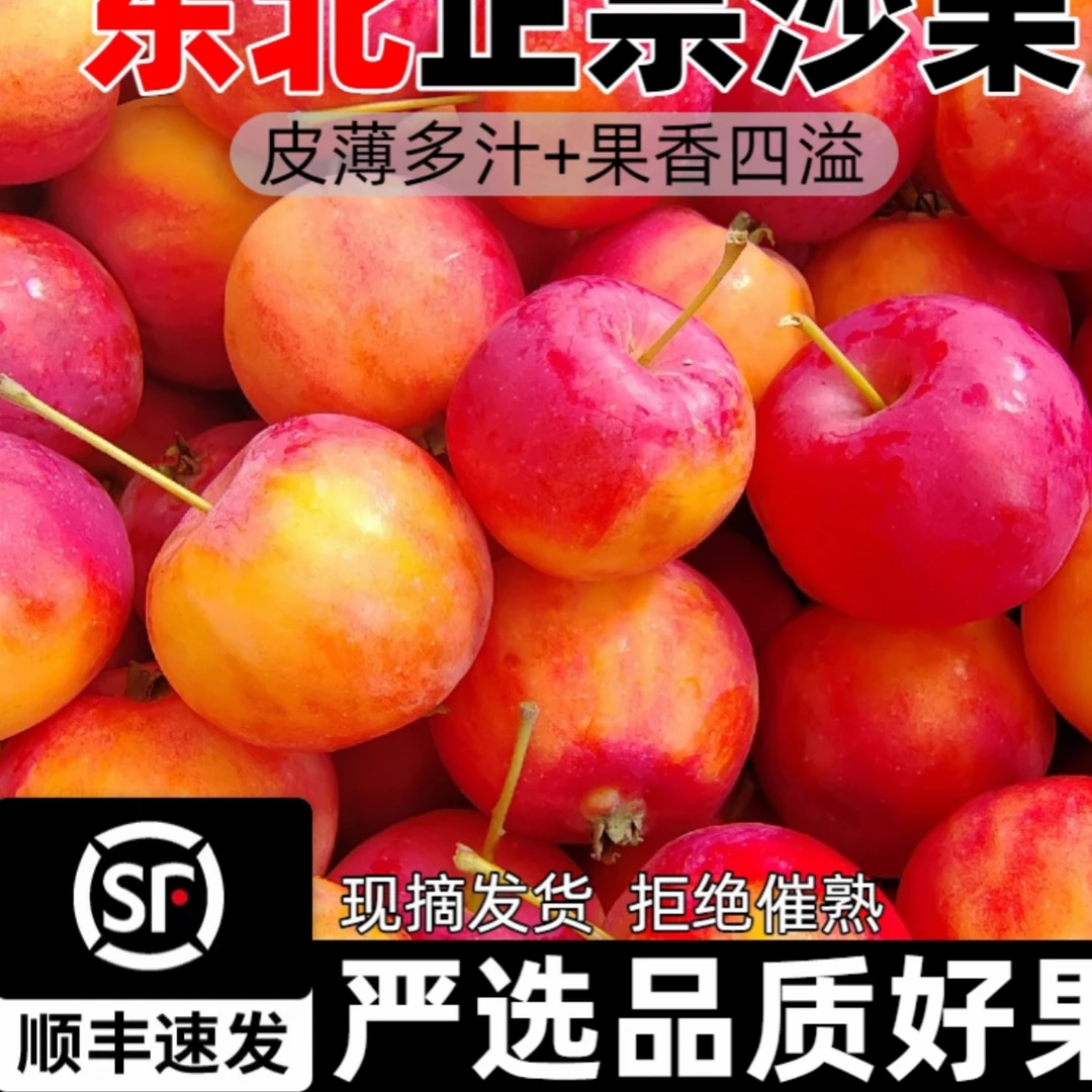 东北沙果海棠果(口感酸甜)会有大有小属于正常的