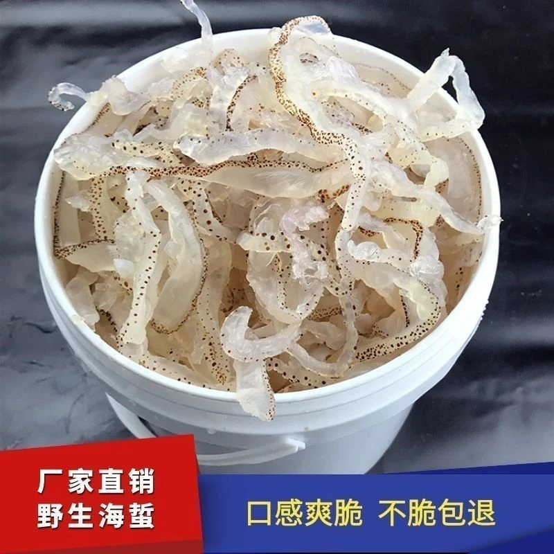 【三斤装】山东特产海蜇丝鲜脆爽口凉拌非即食野生海蜇丝