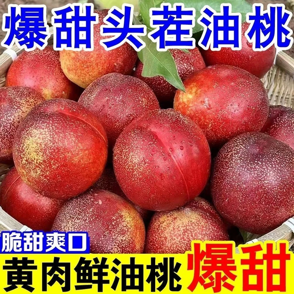 蒙阴麻脸黄心油桃新鲜采摘脆甜多汁当季水果