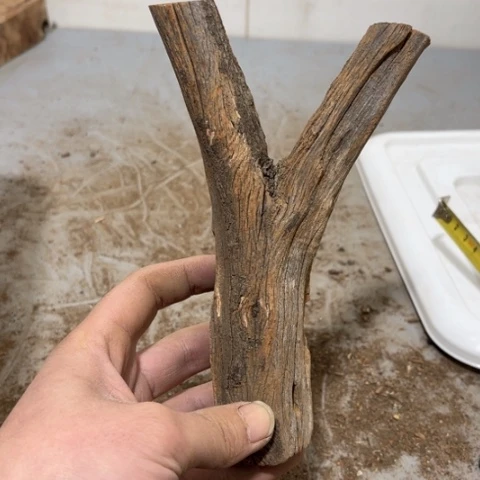 大果紫檀（缅甸花梨）小***?