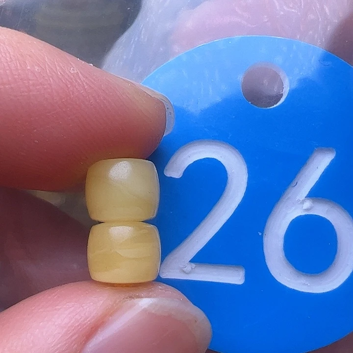 蜜蜡裸石未镶嵌6.9m m