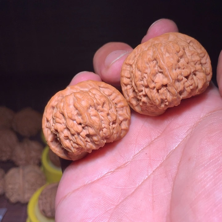 微***凉核桃京东第一矮38全品
