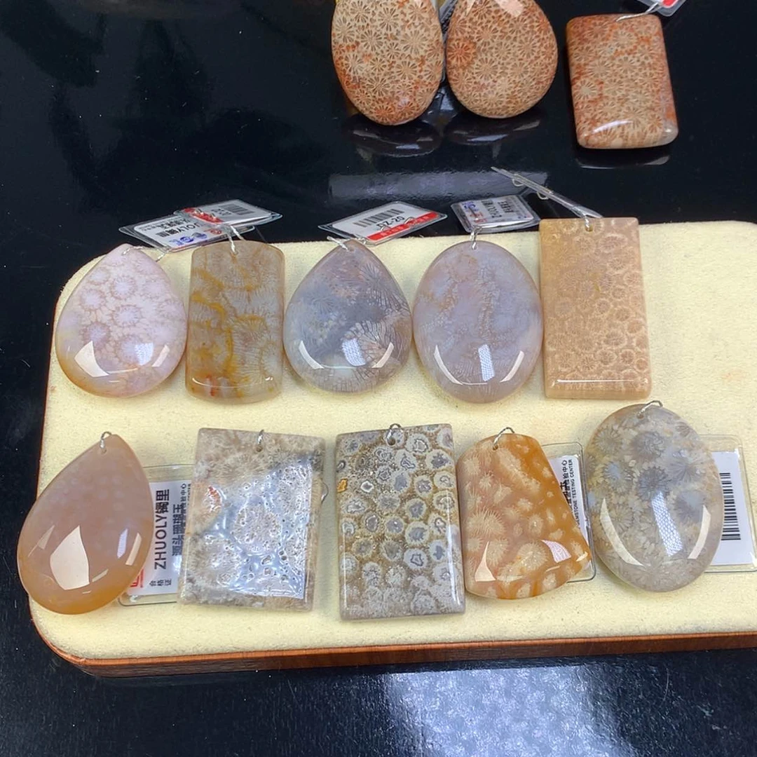 【闪购商品】颈饰未镶嵌硅化珊瑚（珊瑚玉）上新20一个吊坠（7号）