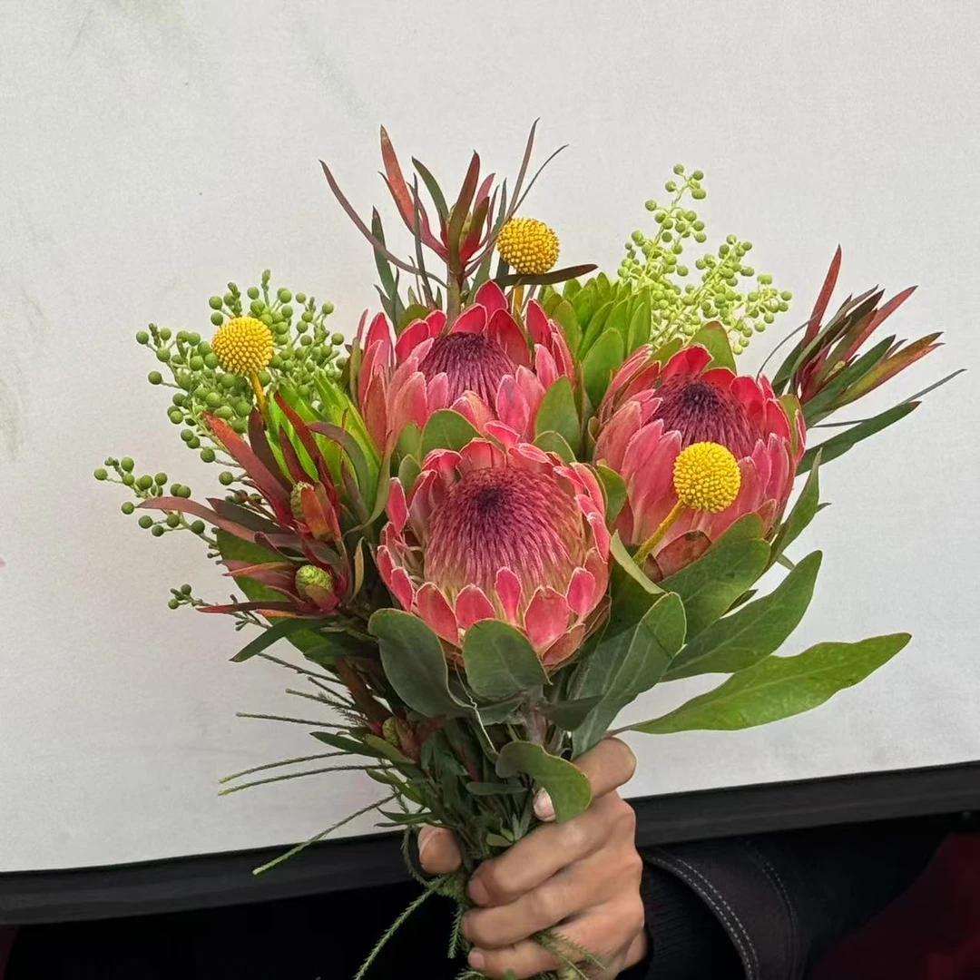 【南非进口鲜花花束】南非进口鲜花公主塞尔维亚公主鲜花花束