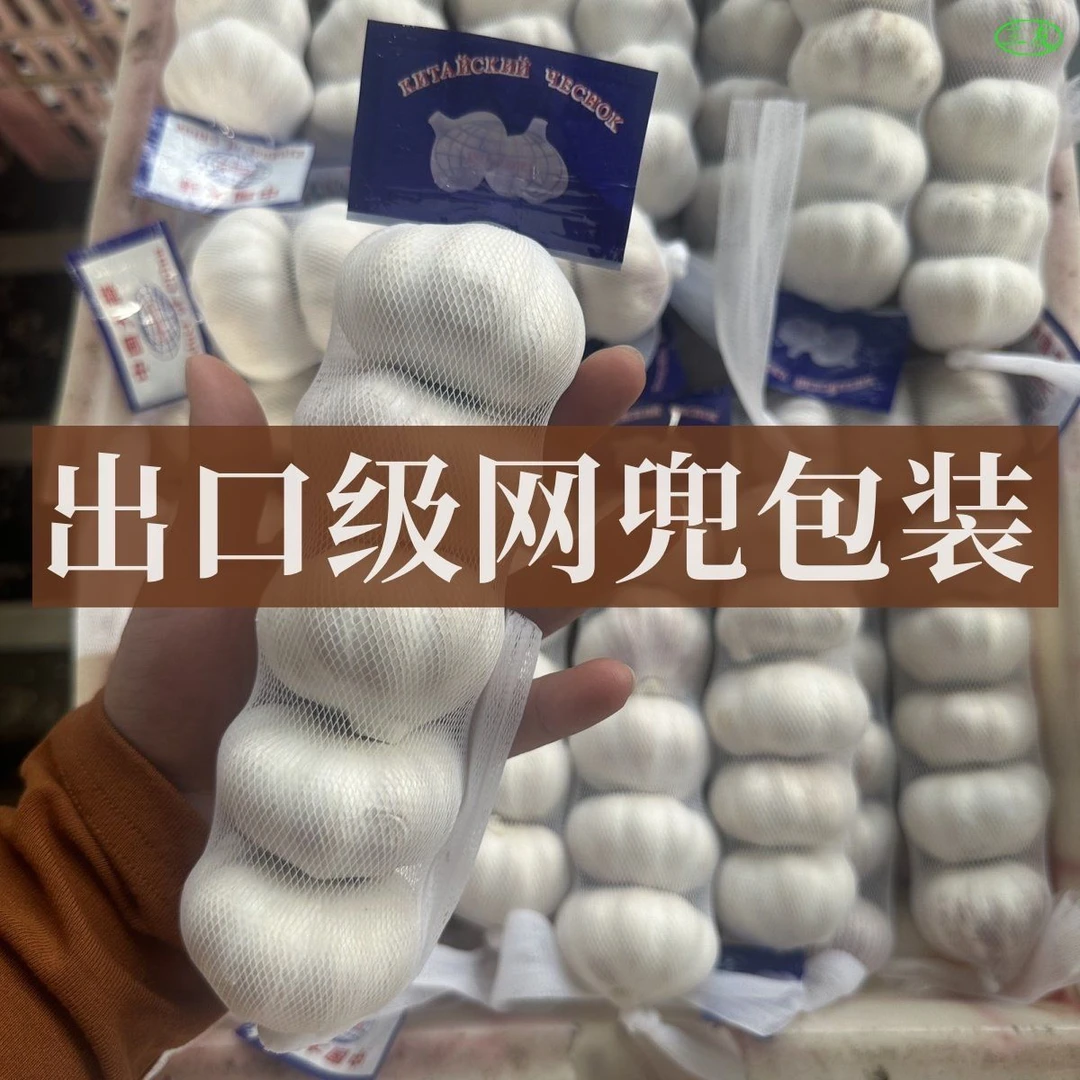 商超同款精品净蒜【大蒜之乡江苏邳州产地直发】