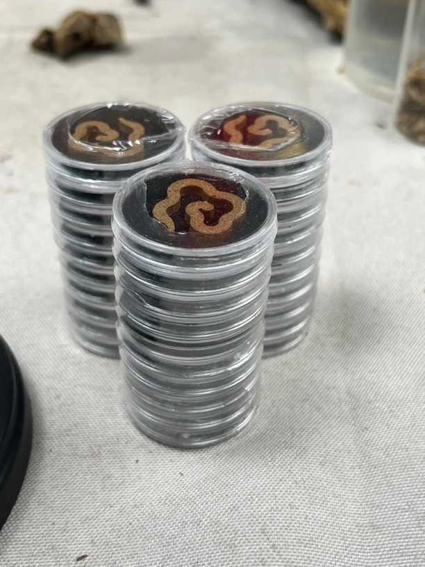 奇楠沉香祥云香两捆共20片多样性发一