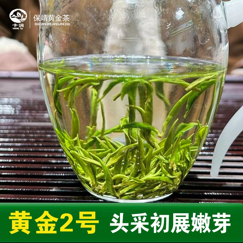 卡洞品牌珍稀之选2025年保靖黄金茶头采初展2号春茶少量上市！