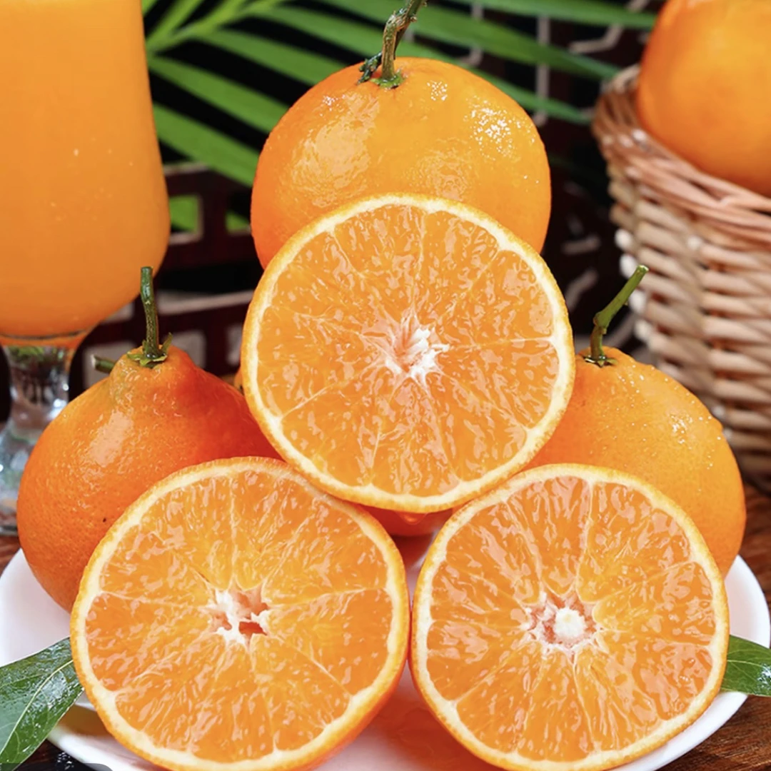 【顺丰发货】四川爱媛果冻橙38号4.5斤当季橙子现摘发货新鲜树上熟