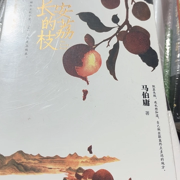 长安的荔枝全新推荐